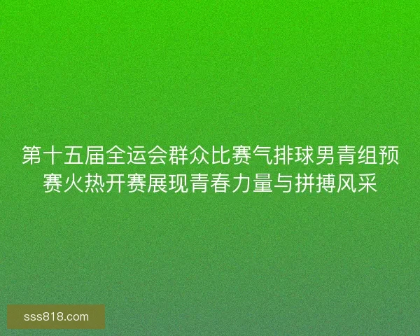第十五届全运会群众比赛气排球男青组预赛火热开赛展现青春力量与拼搏风采